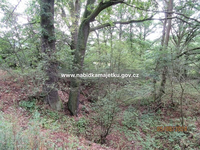 Pozemek · Nečtiny, okres Plzeň-sever - 3