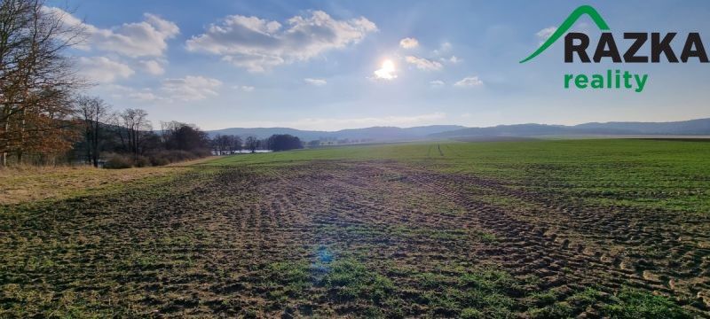 Prodej zemědělský pozemek - Staré Sedliště