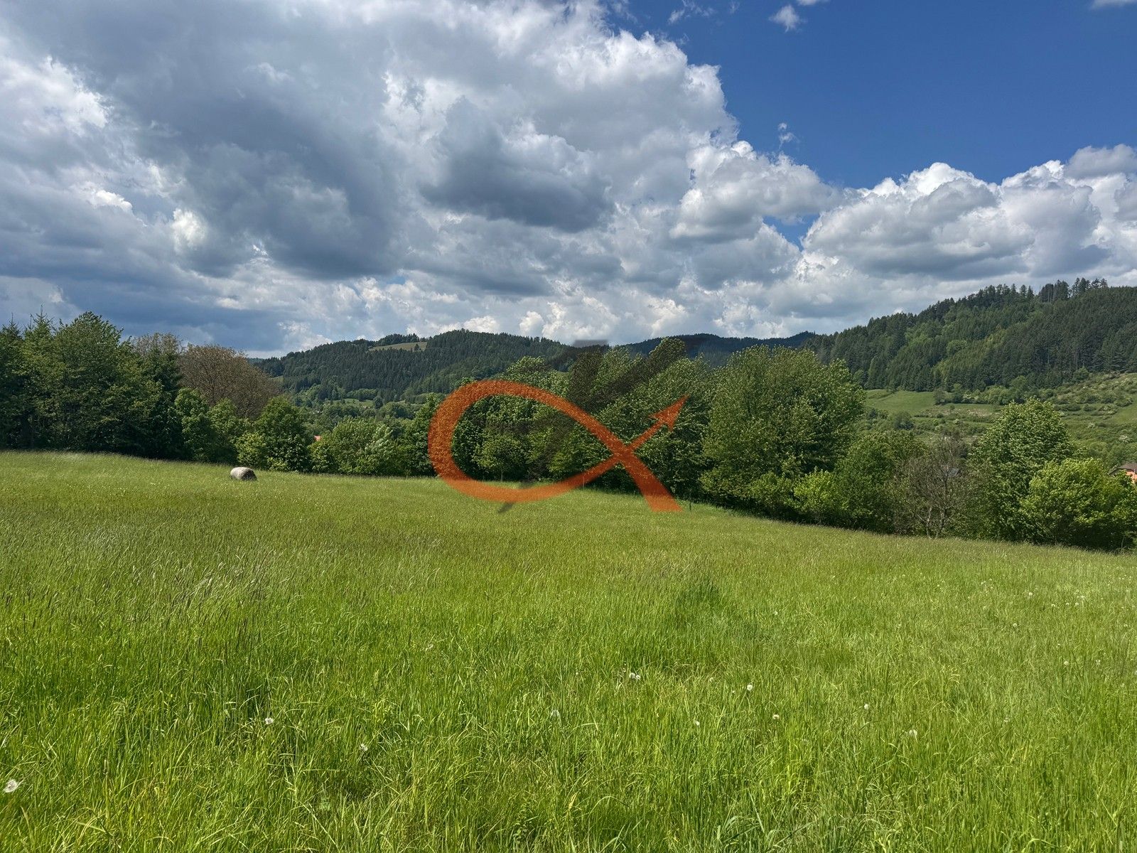 Prodej louka - Nový Hrozenkov, 25 m²