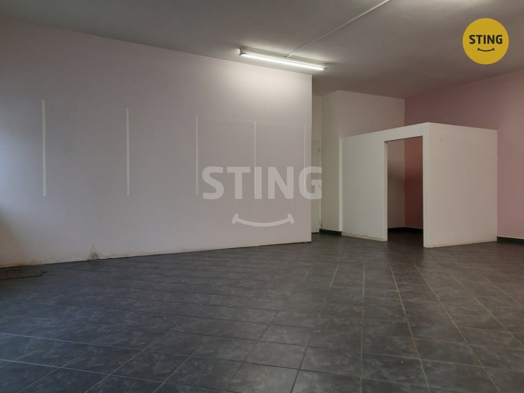 Obchodní prostory · Žďár nad Sázavou, 591 01 - 3