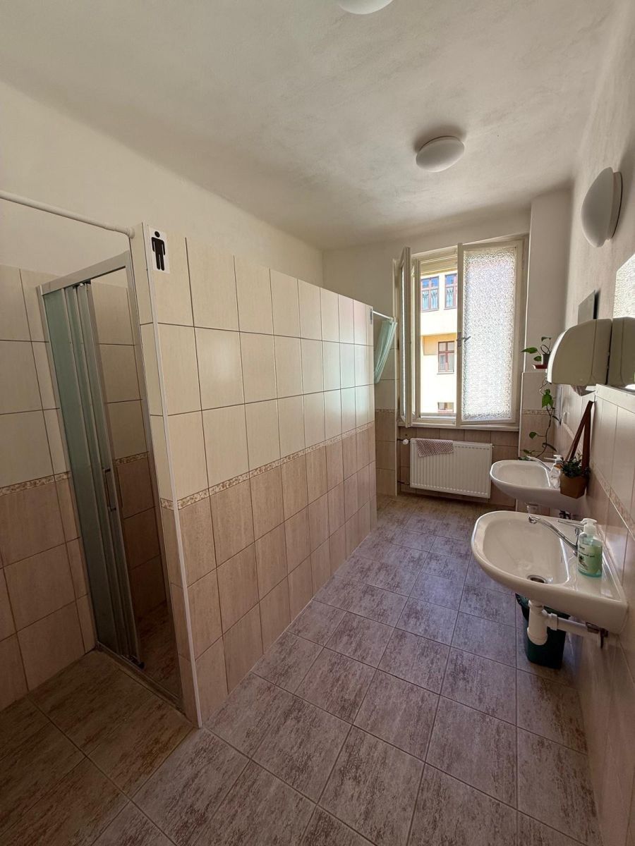 Pronájem byt - Lublaňská, Praha - Vinohrady, 300 m² - 5