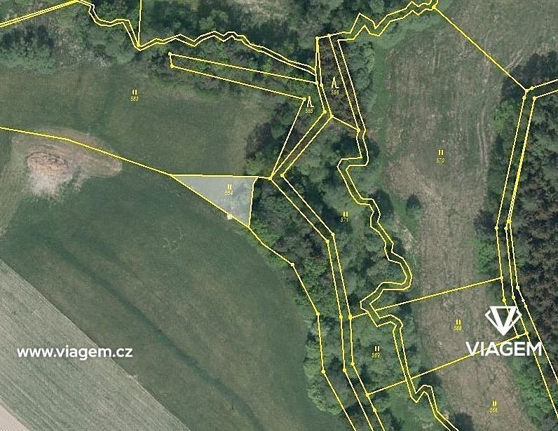 Zemědělský pozemek · Světlá nad Sázavou, okres Havlíčkův Brod, Kraj Vysočina - 3