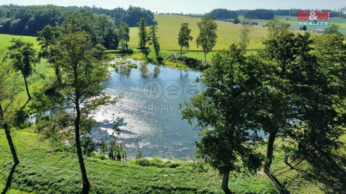 Prodej pozemek - Golčův Jeníkov, 582 82, 5 442 m²
