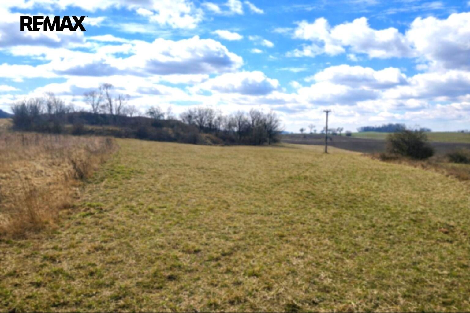 Prodej zemědělský pozemek - Číčovice, 6 121 m² - 5
