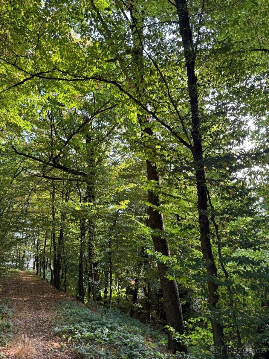 Pozemky pro bydlení, Háj ve Slezsku, 747 92