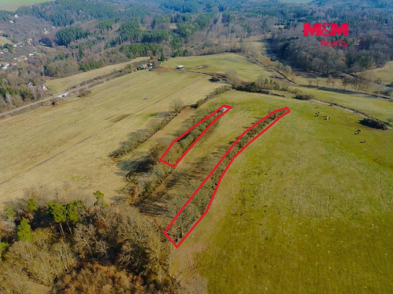 Zemědělský pozemek · Kladruby - Vrbice u Stříbra, okres Tachov, Plzeňský kraj - 4
