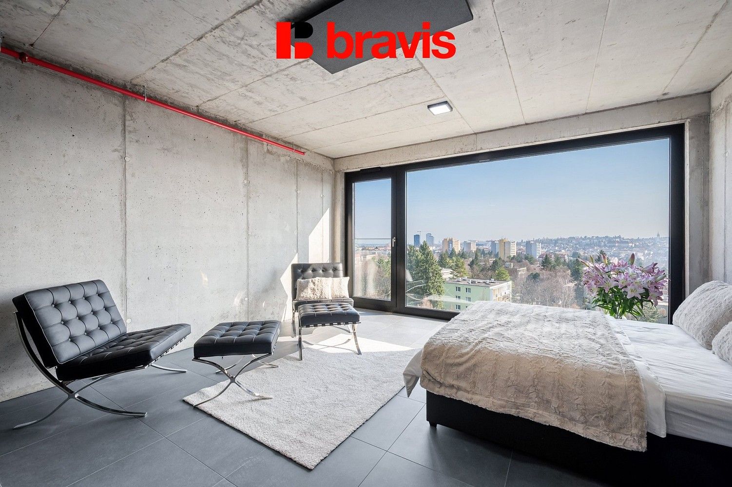 1+kk, Brno - Žabovřesky, okres Brno-město, Jihomoravský kraj, 40 m² - 1