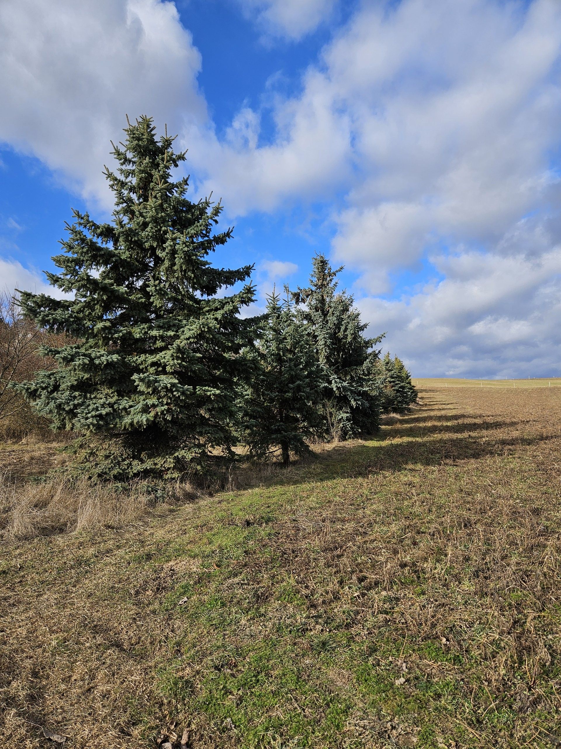 Ostatní, Komín, Brno
