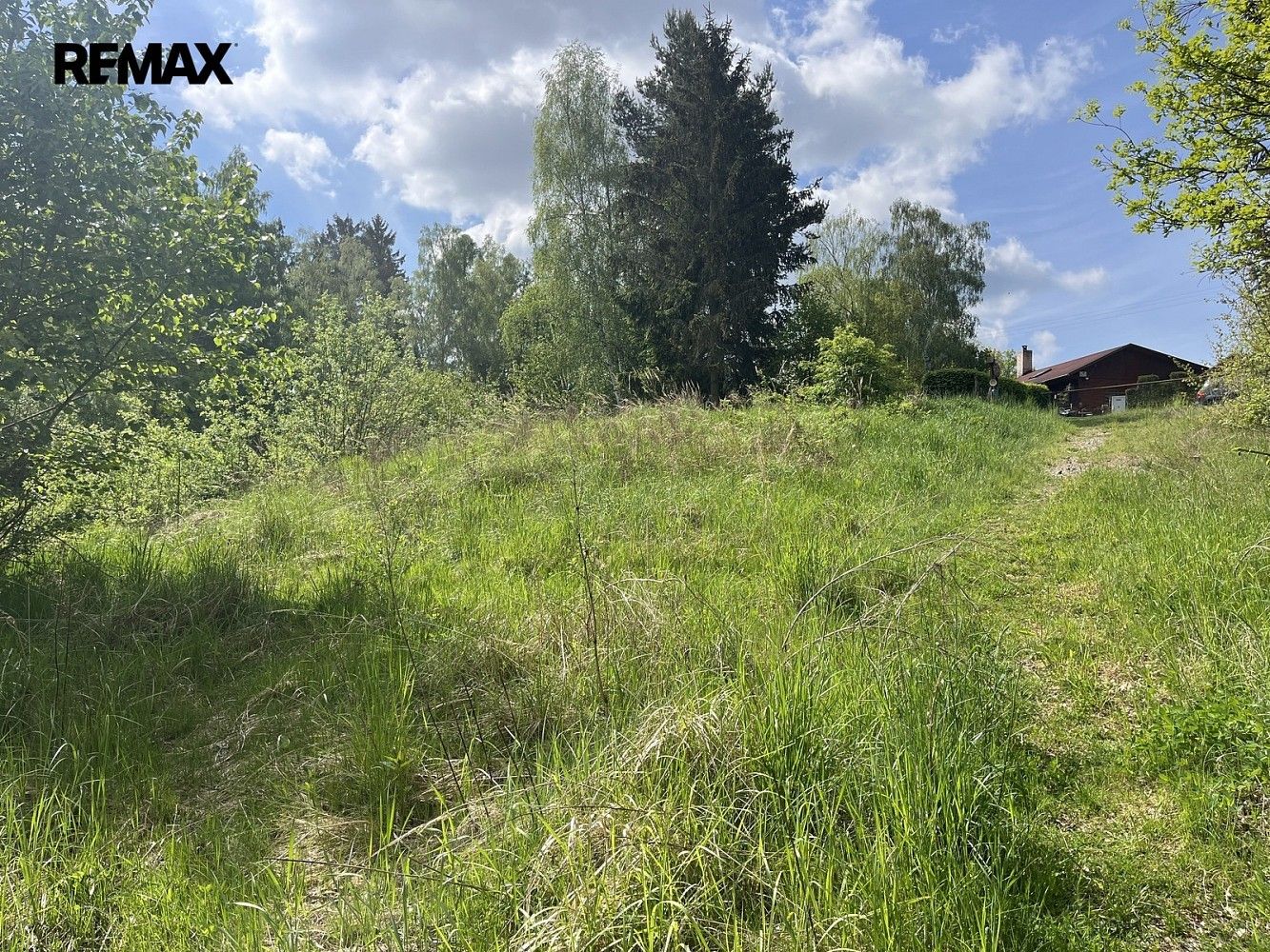 Pozemek · Dvorce, okres Jihlava, Kraj Vysočina - 4