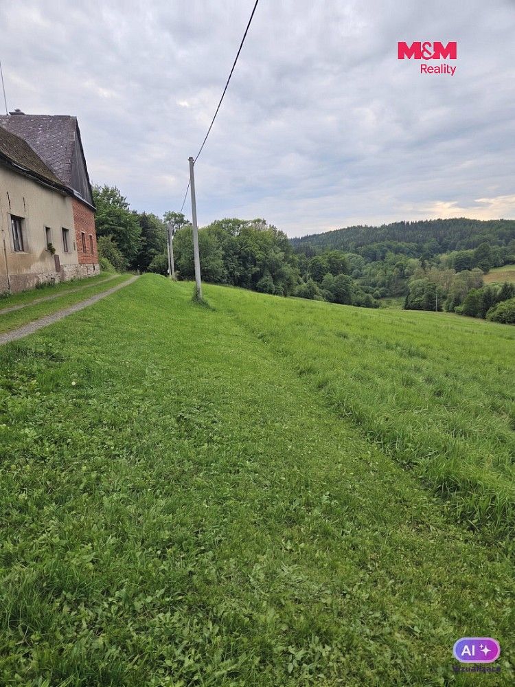 Louka · Hynčina, okres Šumperk, Olomoucký kraj - 4