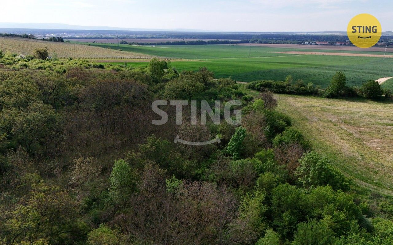 Pozemek · 1 561 m² · Kelčany - 4