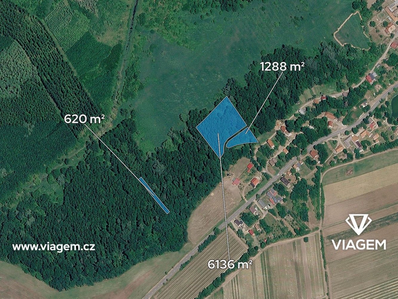 Les · Brod nad Dyjí, okres Břeclav, Jihomoravský kraj - 1