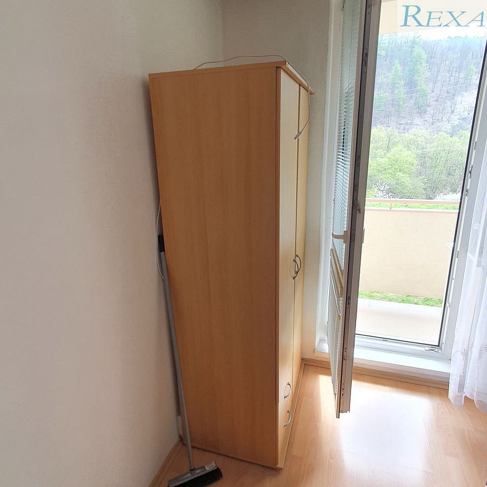 Prodej byt 1+kk - Černého, Brno - Bystrc, 30 m² - 5
