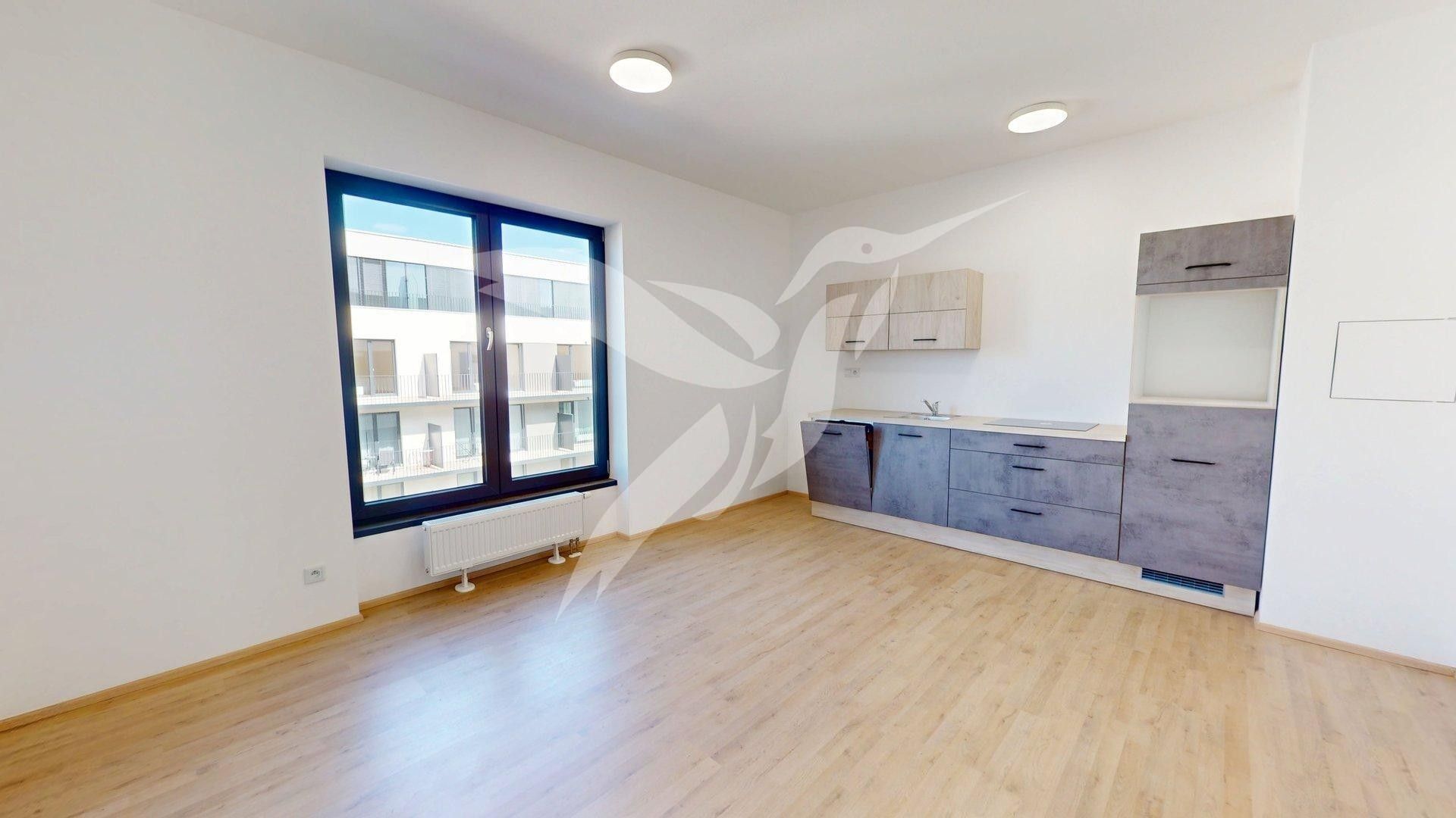 1+kk, Železná 3068, Plzeň Jižní Předměstí, 30 m²
