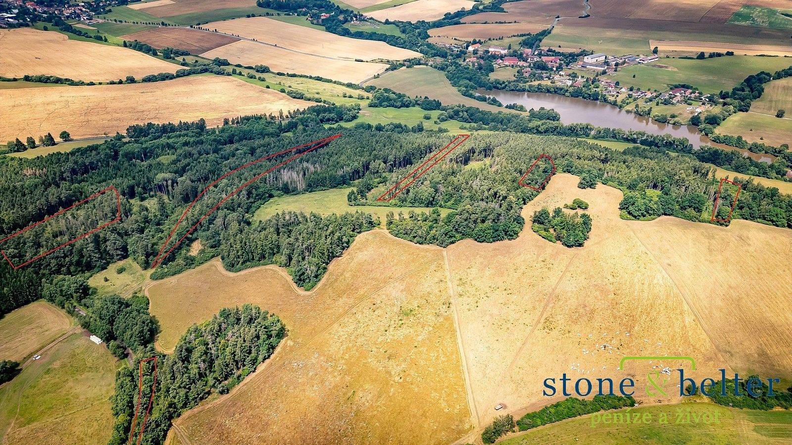 Prodej les - Zvěstov, okres Benešov, Středočeský kraj - 2