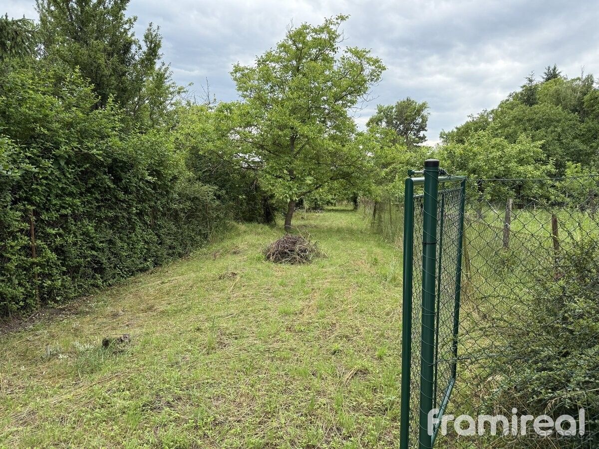 Zahrady, Brno, 614 00