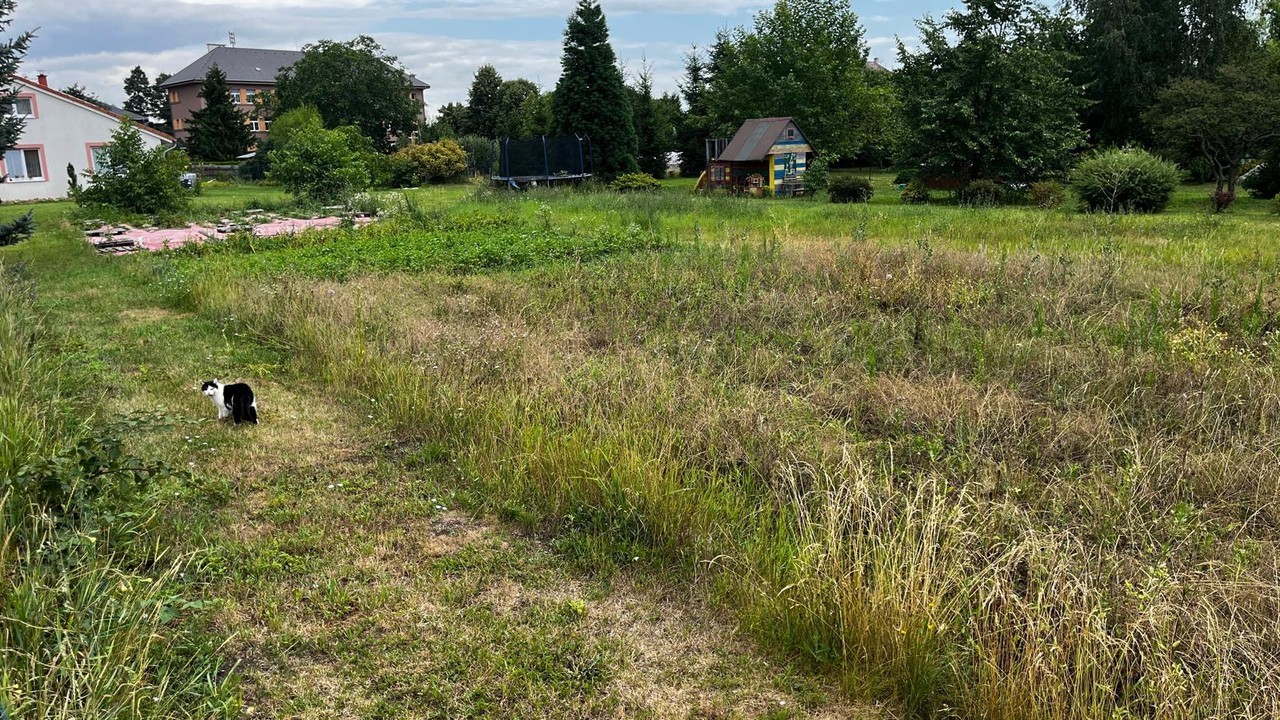 Pozemek pro bydlení · 1 727 m² · Polepy - 4