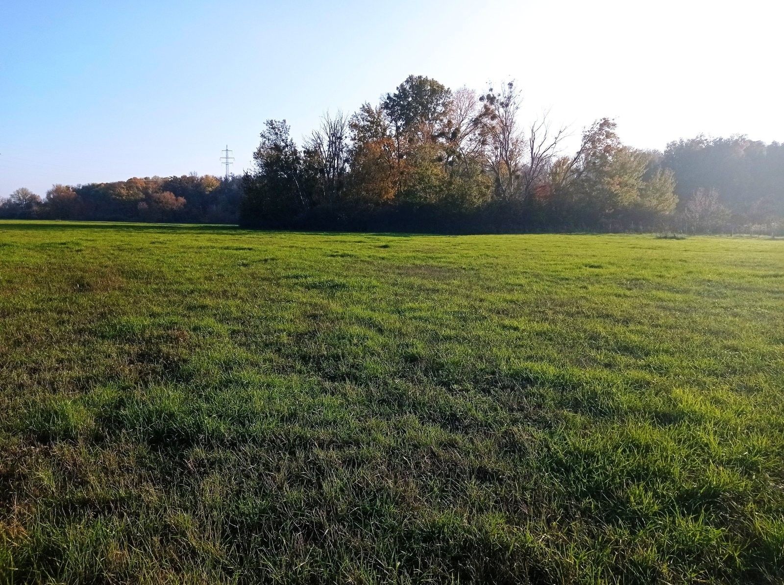 Prodej louka - Bulhary, 5 m²