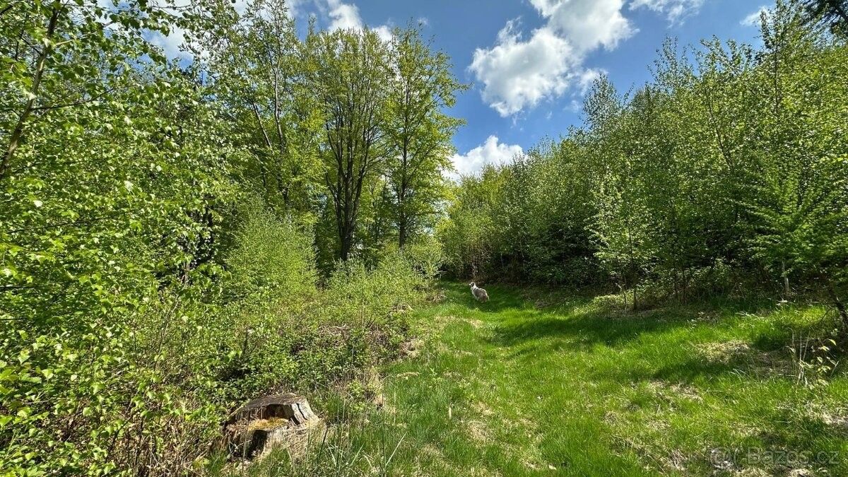 Prodej pozemek pro bydlení - Červený Kostelec, 549 41 - 5