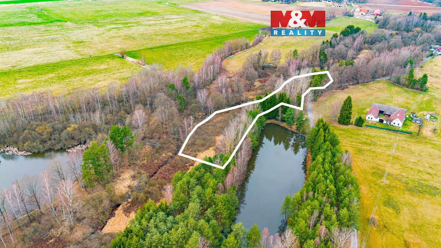 Rybníky, Dvory nad Lužnicí, okres Jindřichův Hradec, Jihočeský kraj - 1