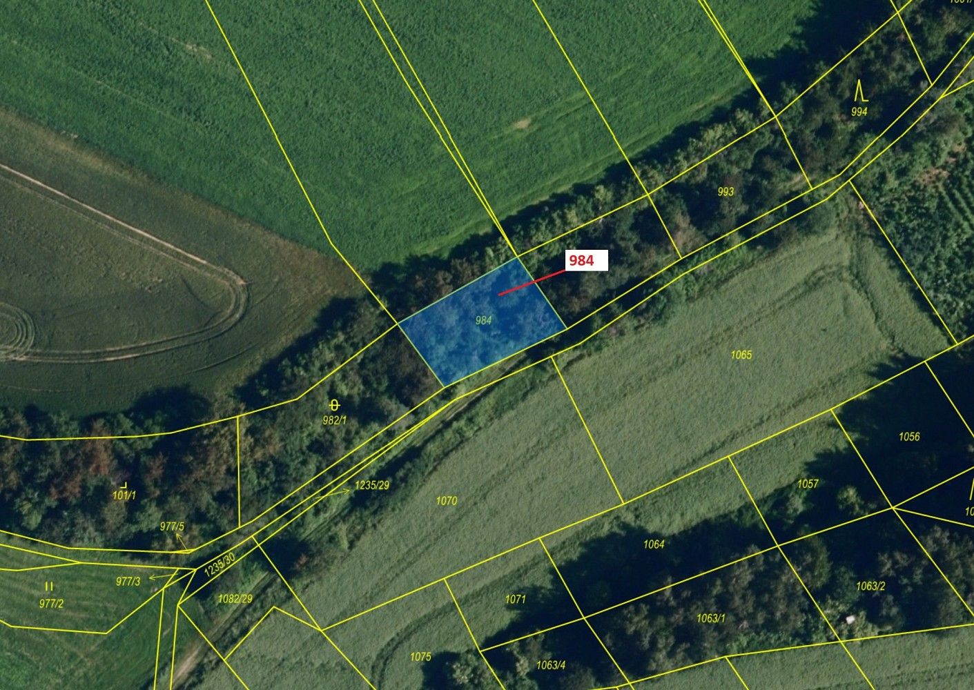 Prodej pozemek - Borovník, okres Brno-venkov, Jihomoravský kraj - 2