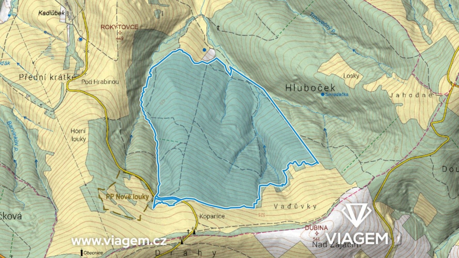 Les · Korytná, okres Uherské Hradiště, Zlínský kraj - 3