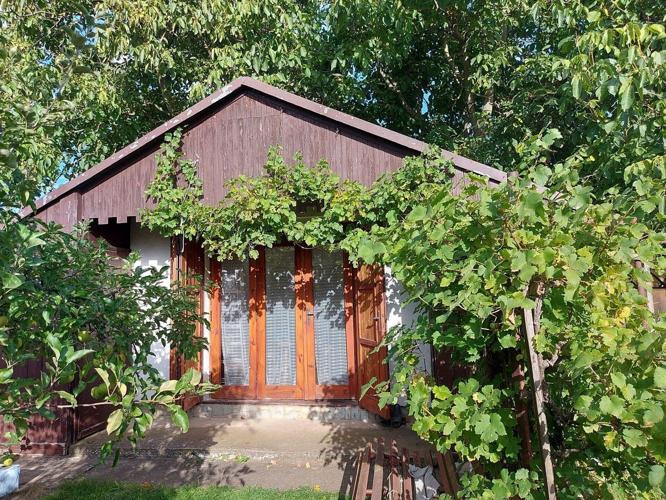 Prodej zahrada - Louny, Ústecký kraj - 1