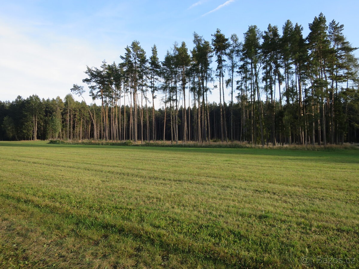 Pozemek pro bydlení · 391 32, Tábor - 3