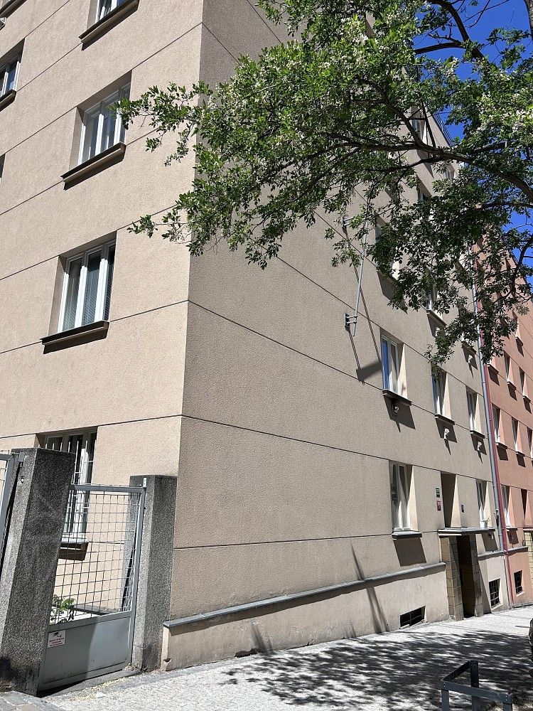 1+kk, Baranova, Praha 3 - Žižkov, 31 m² - 1