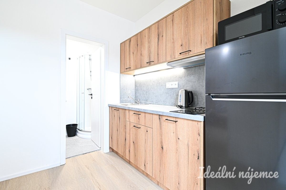 1+1, Bubeníčkova, Brno, 25 m²