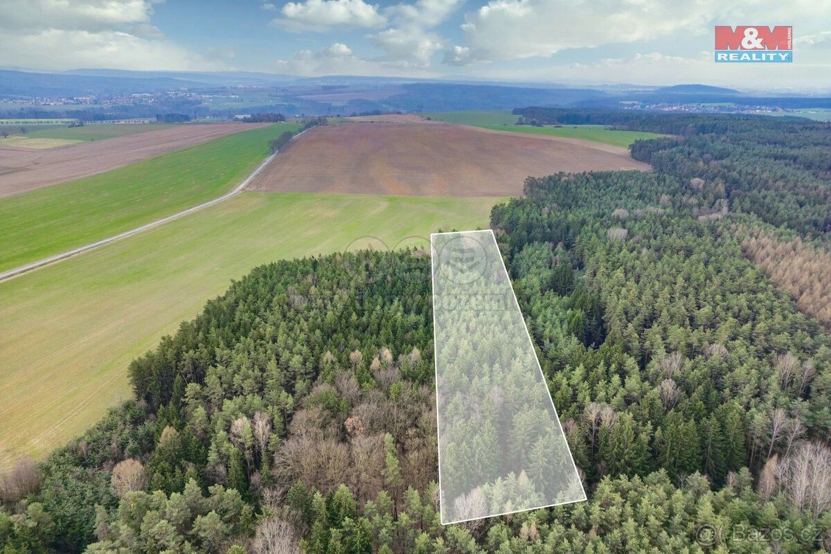 Lesy, Třemošná, 330 11, 10 976 m²