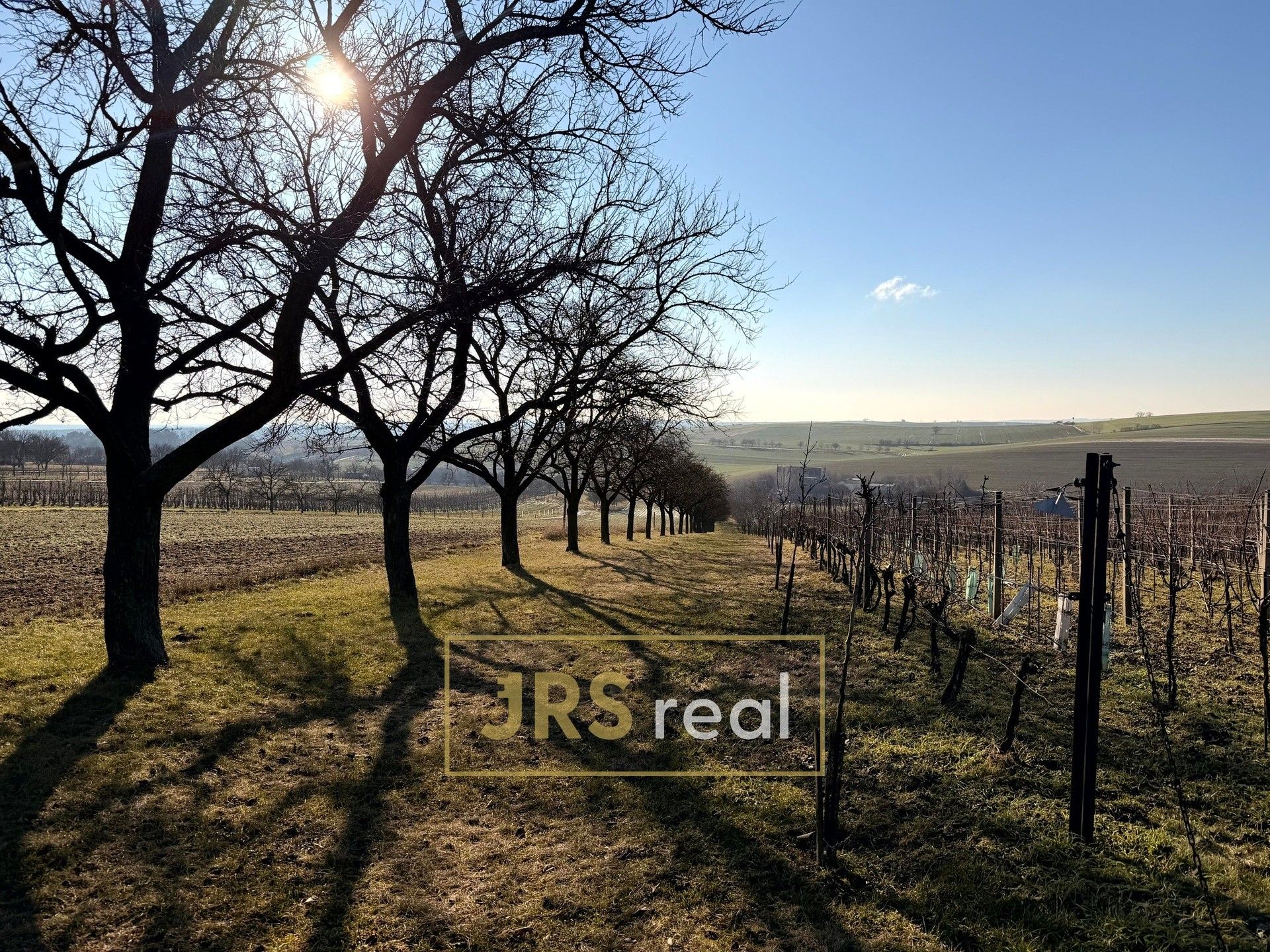 Zemědělské pozemky, Svatobořice-Mistřín