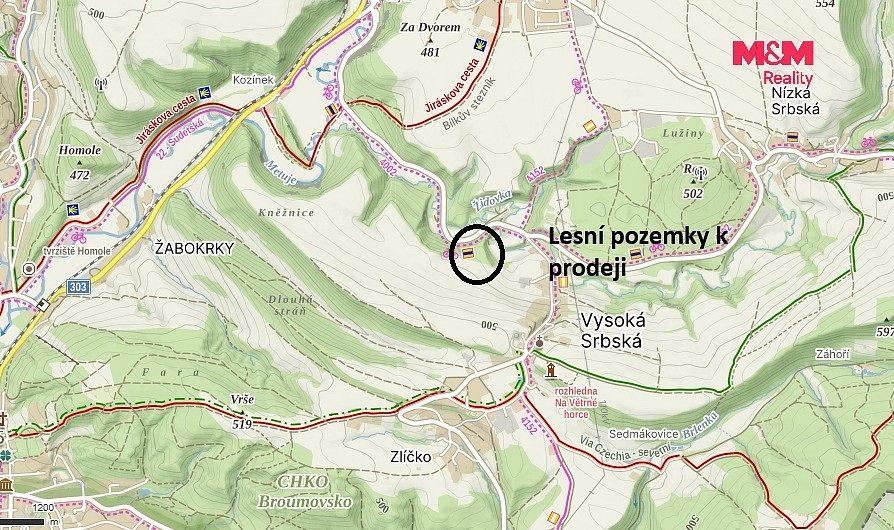 Louka · Vysoká Srbská, okres Náchod - 4