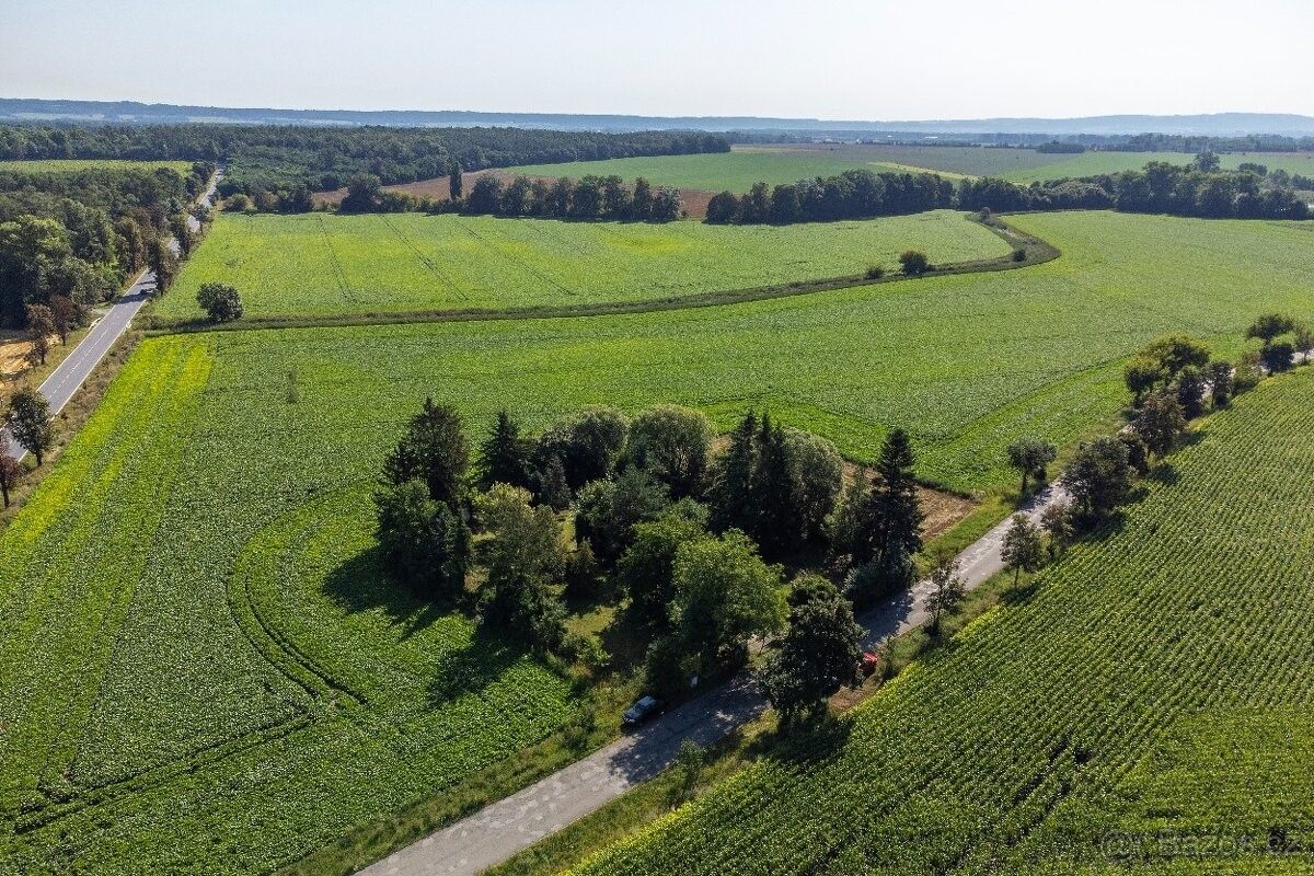 Pozemky pro bydlení, Nové Dvory u Kutné Hory, 285 31 - 1