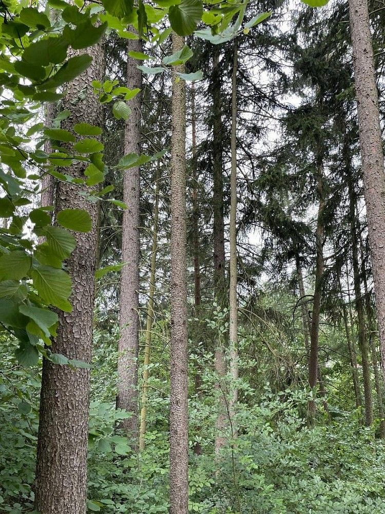 Pozemek, 14 508 m²
