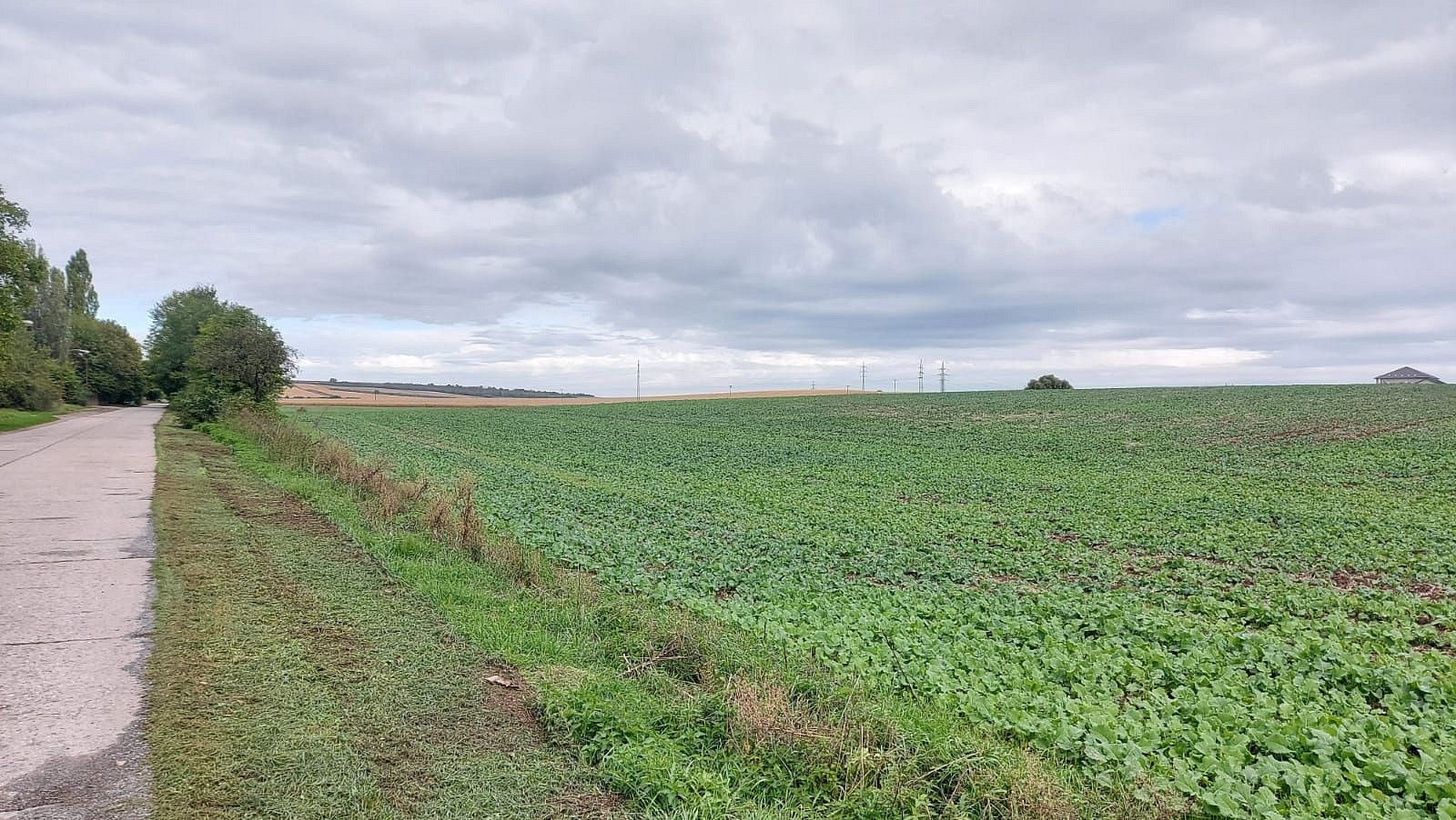 Pozemky pro bydlení, Český Brod - Liblice, okres Kolín, Středočeský kraj - 2