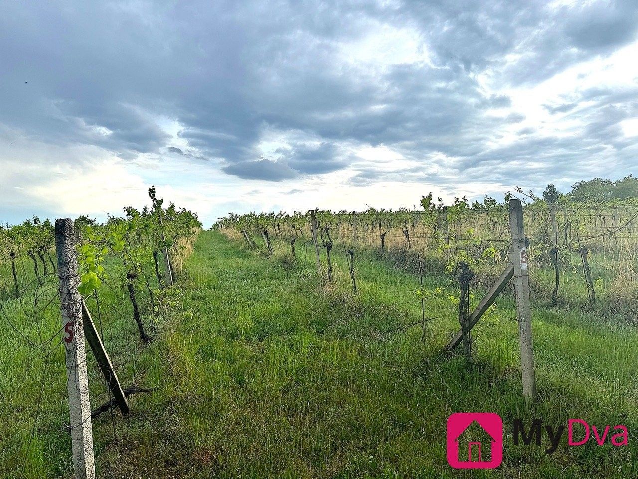 Prodej pozemek - Nový Šaldorf, Nový Šaldorf-Sedlešovice, 7 500 m²