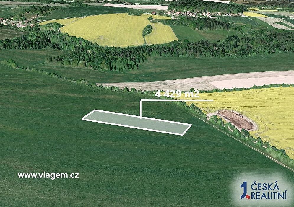 Prodej zemědělský pozemek - Brodek u Konice, okres Prostějov, Olomoucký kraj - 2