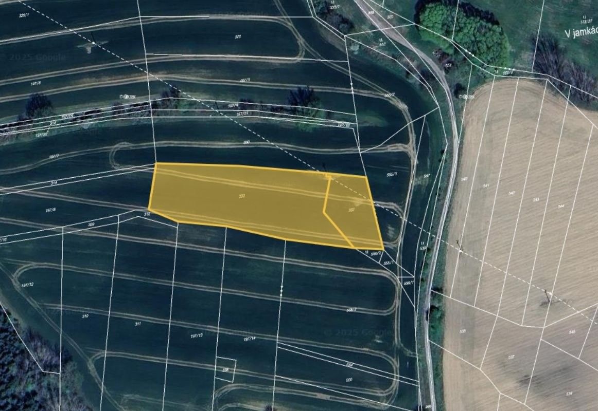 Prodej zemědělský pozemek - Třebčice, 13 318 m²