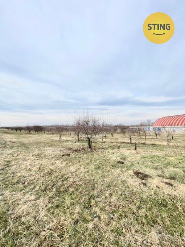 Pozemky pro bydlení, Lužice u Hodonína, 696 18