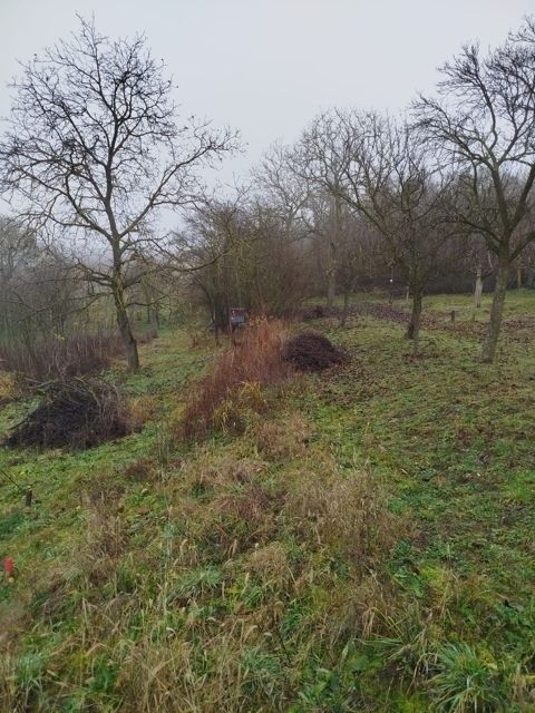 Pronájem zahrada - Bzenec, 696 81