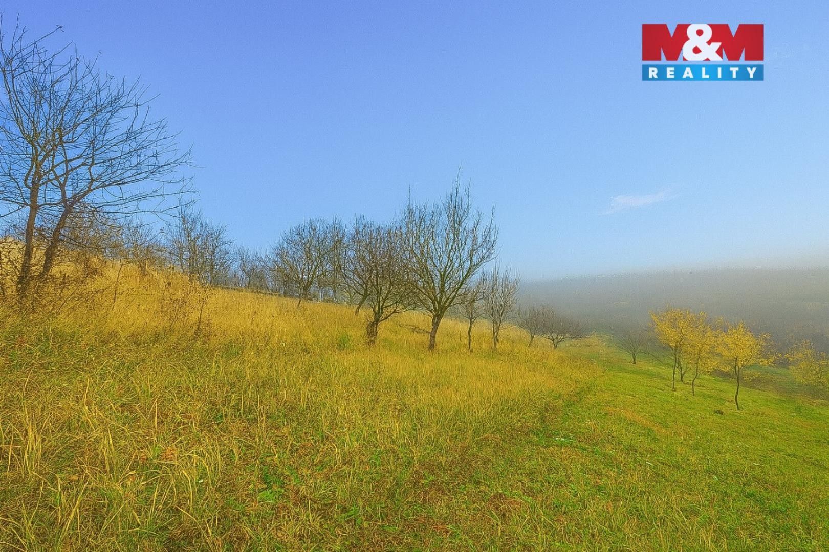 Prodej zemědělský pozemek - Bukovany