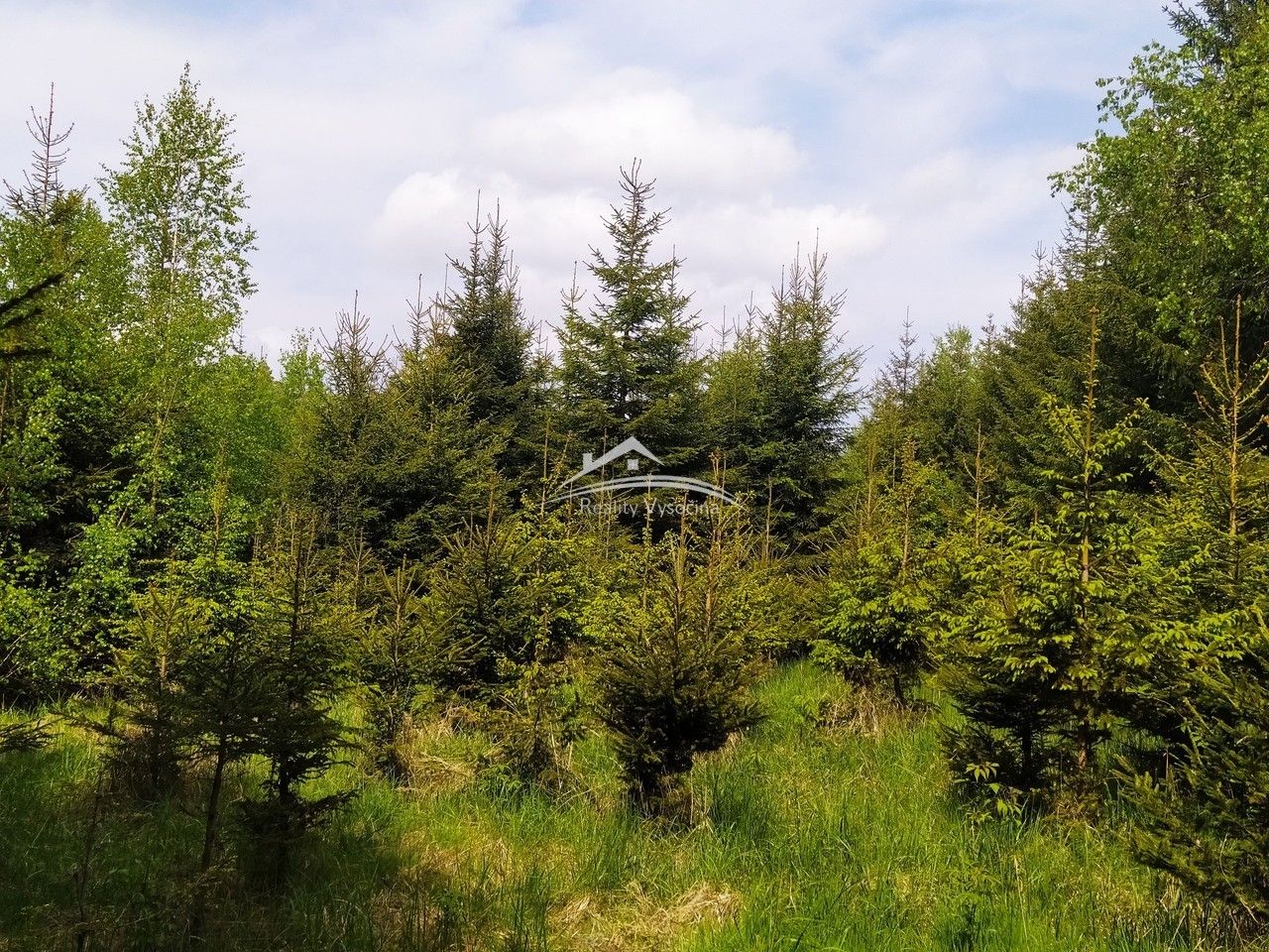 Les · 8 890 m² · Nerudova, Žirovnice - 3