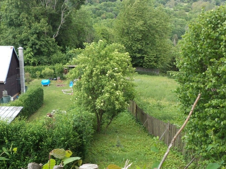 Prodej louka - Velké Březno, okres Ústí nad Labem, Ústecký kraj - 1