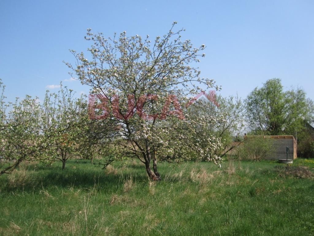 Louka · 3 500 m² · Hradební, České Budějovice - 4