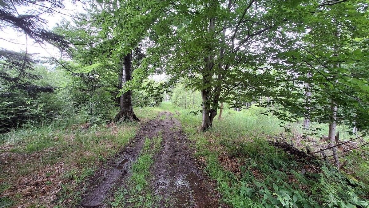 Pozemky pro bydlení, Bystřice nad Olší, 739 95 - 1