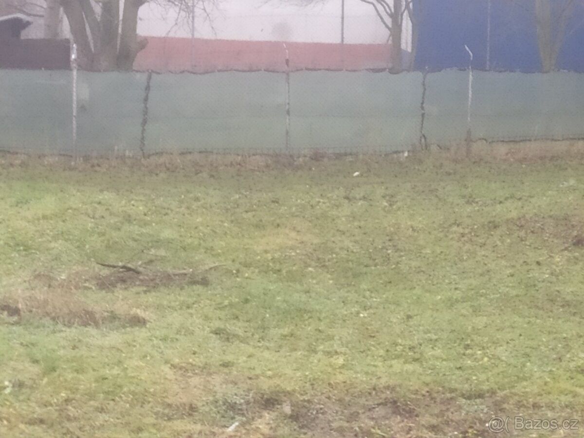 Zahrady, Ostrava, 710 00