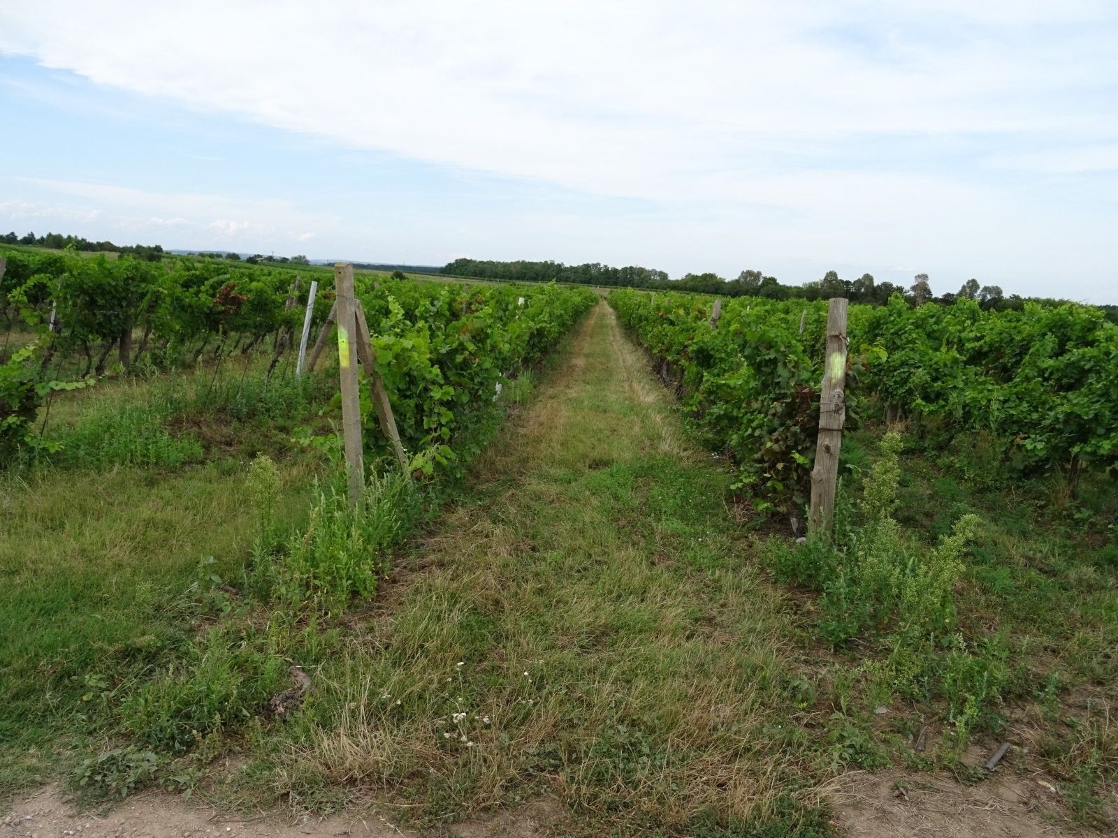 Ostatní, Hlohovec, 7 m²