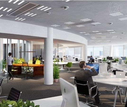 Kanceláře, Plzeňská, Praha, 454 m²