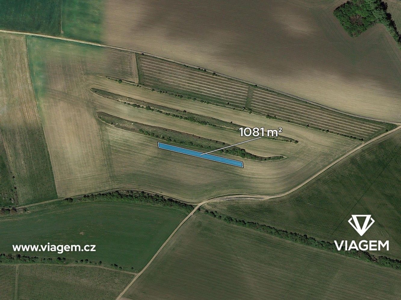 Zemědělské pozemky, Brumovice, okres Břeclav, Jihomoravský kraj - 2